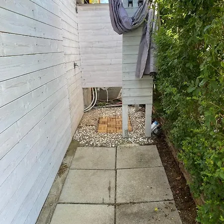 Degli Angeli Bernalda