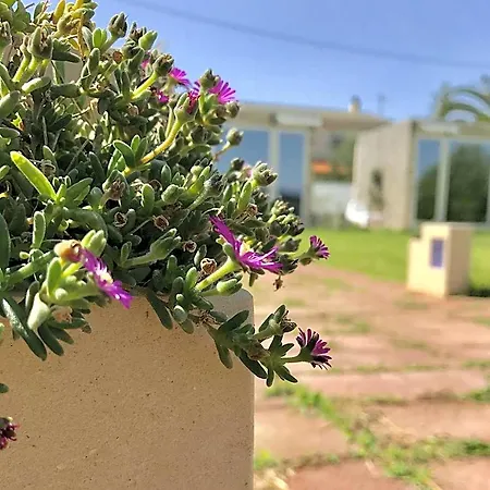 Bed & Breakfast Degli Angeli