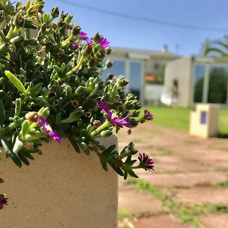 Degli Angeli Bed & Breakfast 3*