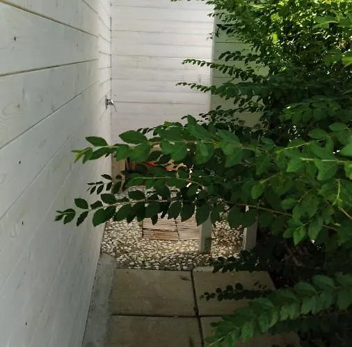 Degli Angeli Bed & Breakfast