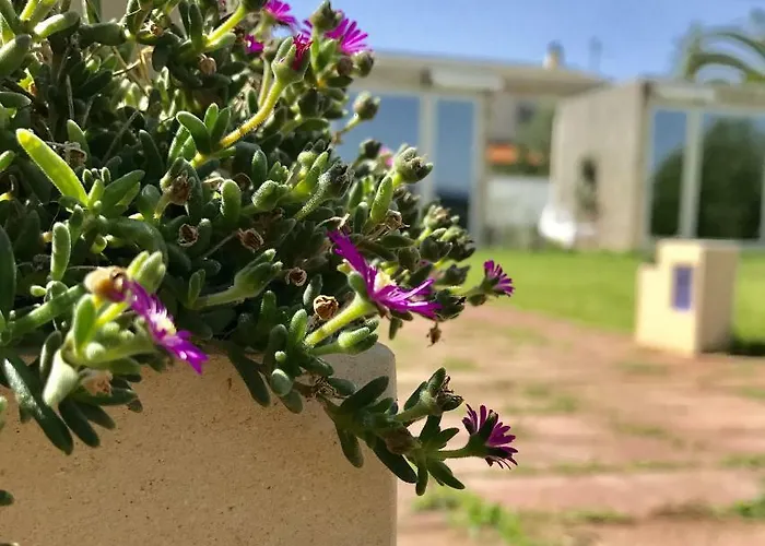 Degli Angeli Bed & Breakfast 3*