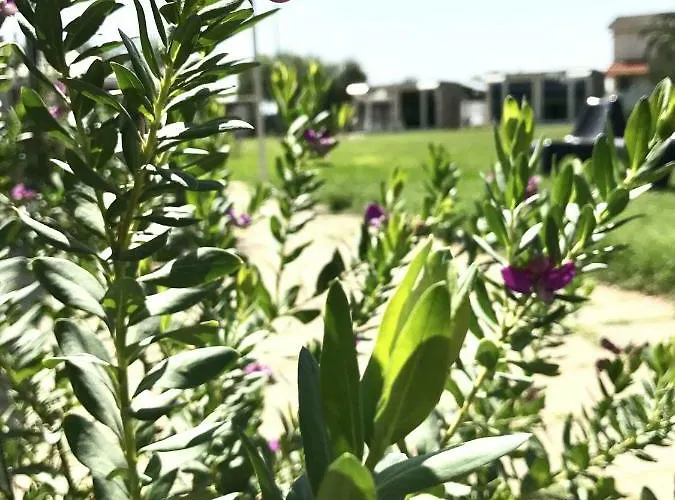 Degli Angeli Nocleg ze śniadaniem 3*